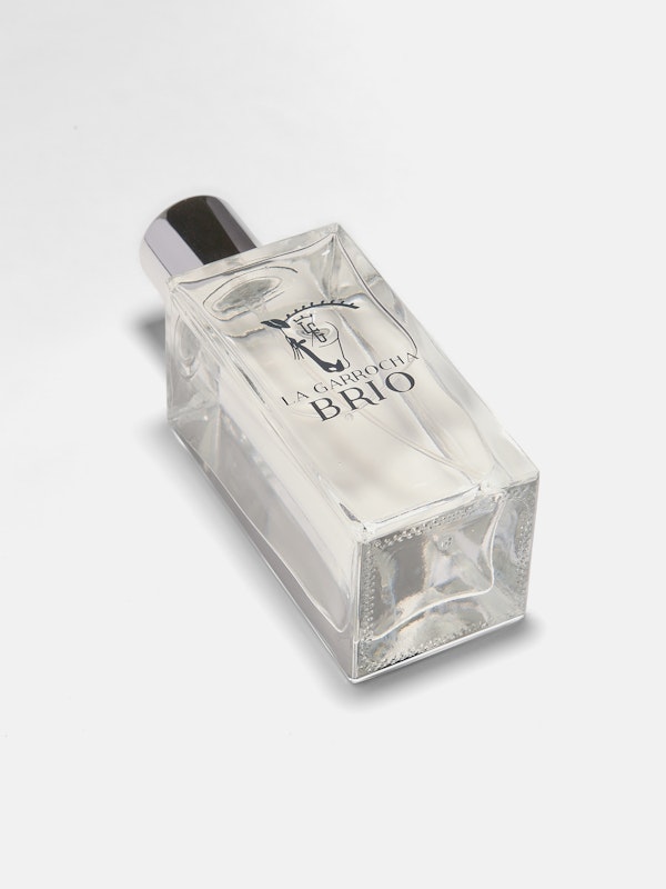 Brío | Perfume for Men and Women