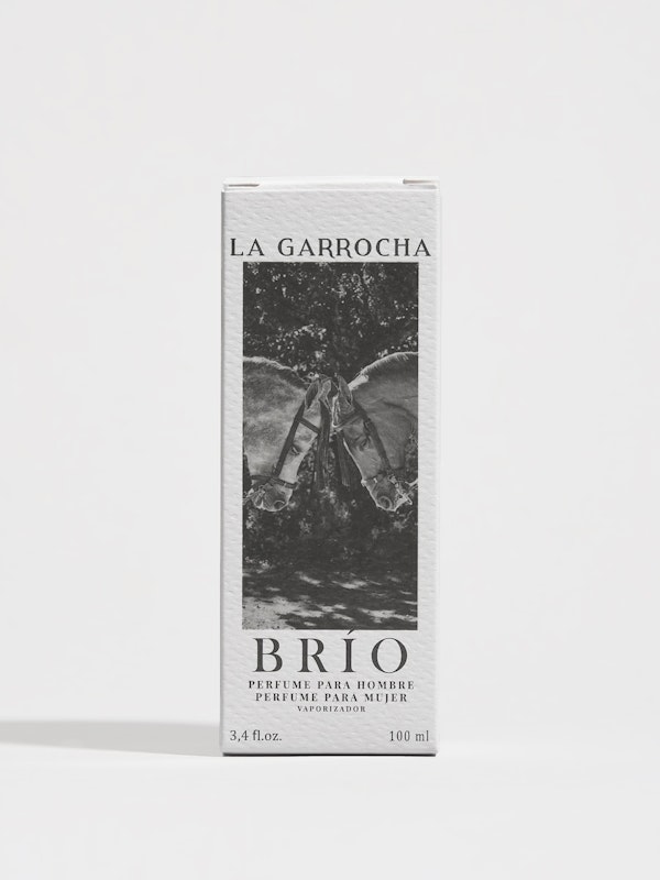 Brío | Perfume for Men and Women