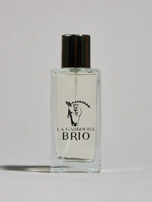 Brío | Perfume para Hombre y Mujer