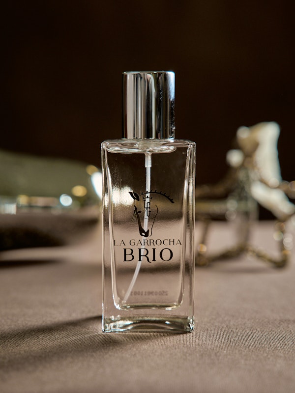 Brío | Perfume for Men and Women