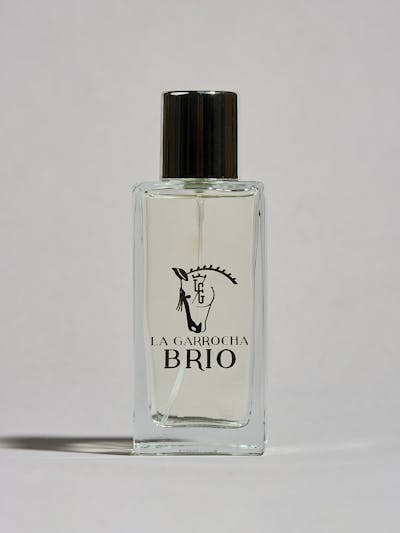 Brío | Perfume for Men and Women