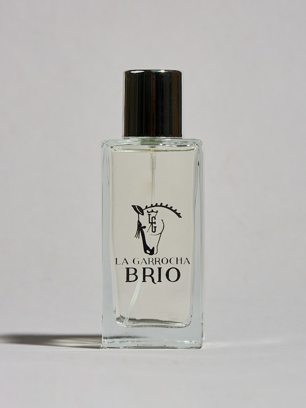 Brío | Parfum pour homme et femme