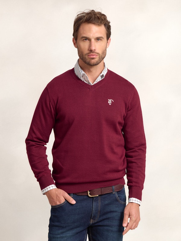 Pull col V avec coudières | Burgundy