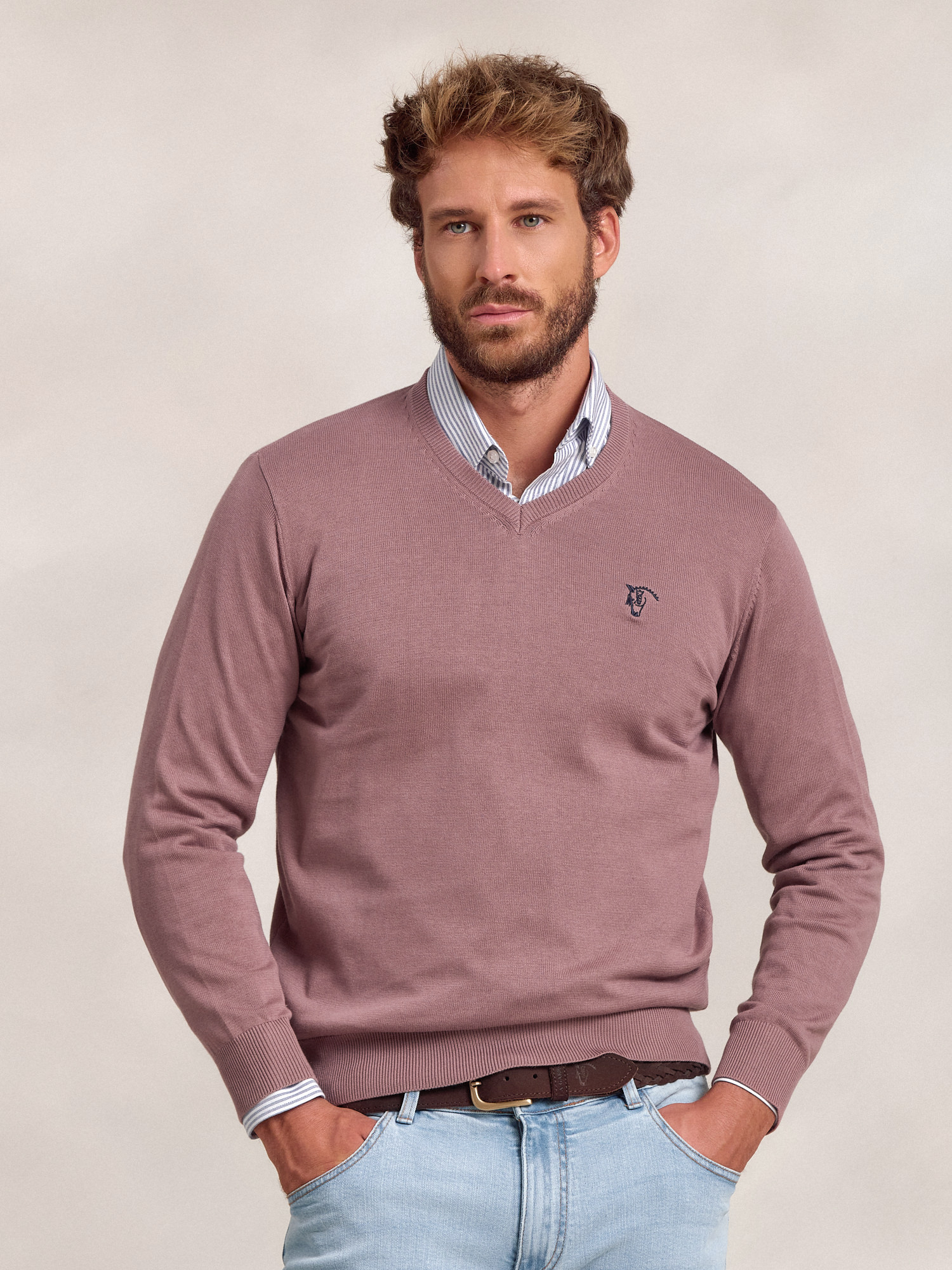 Pull-over col V | Lavanda