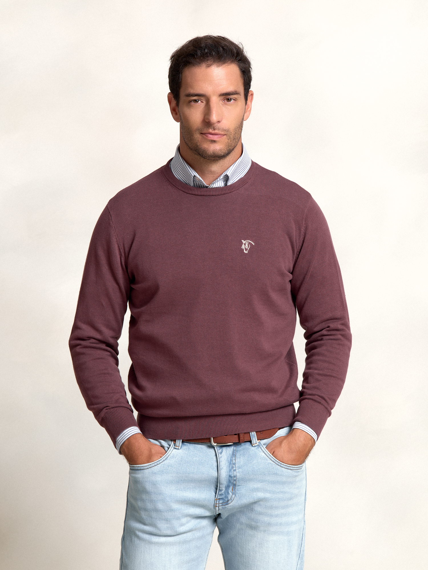 Round neck sweater | Malva