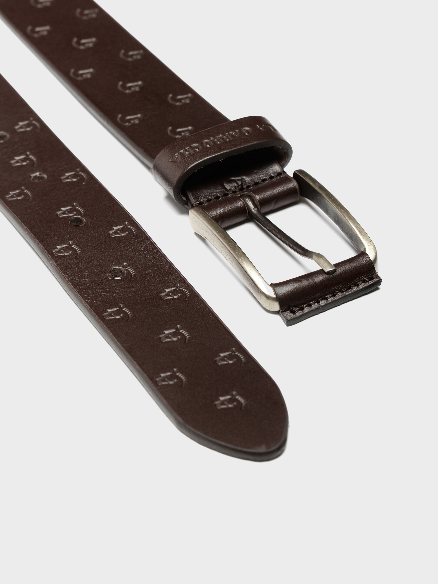 Trote Belt | Chocolate