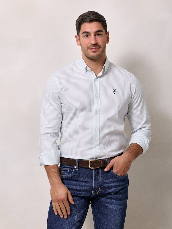 Chemise Oxford à Rayures | Salvia