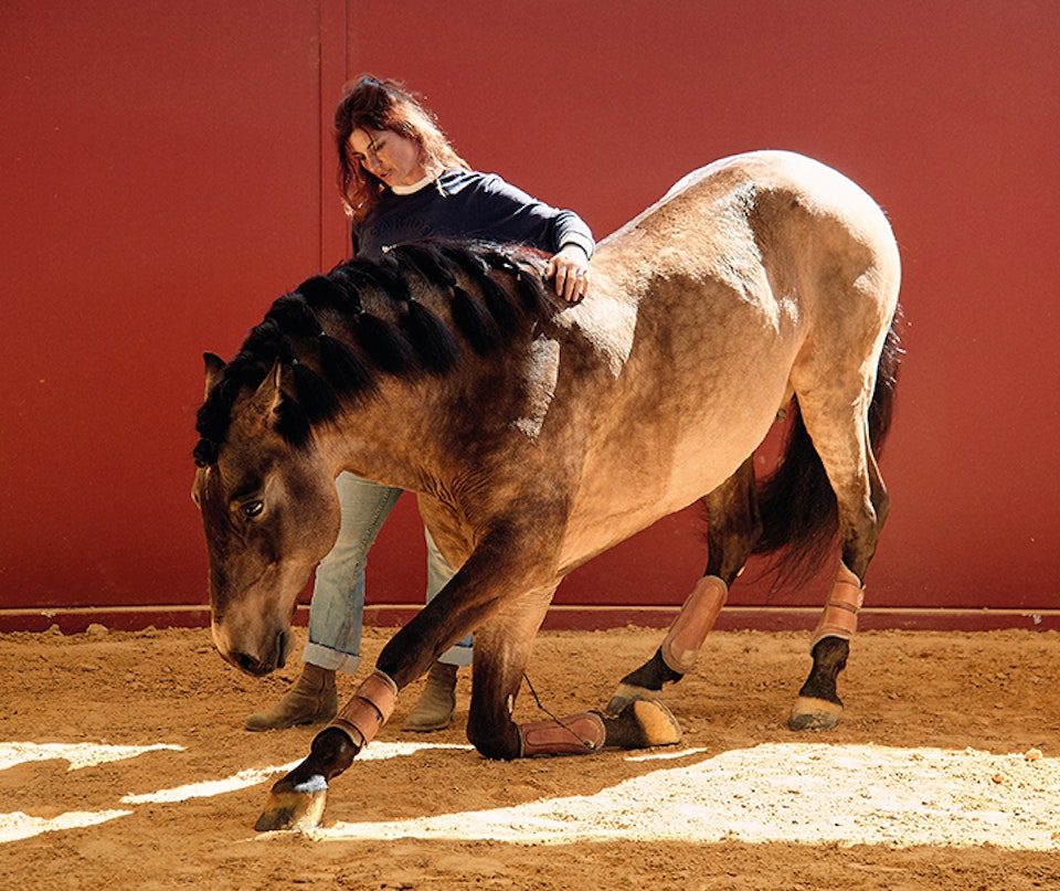 Clémence & Fuego