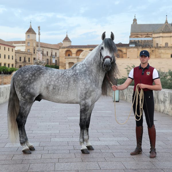 Cordoba Ecuestre Polo Jumeaux