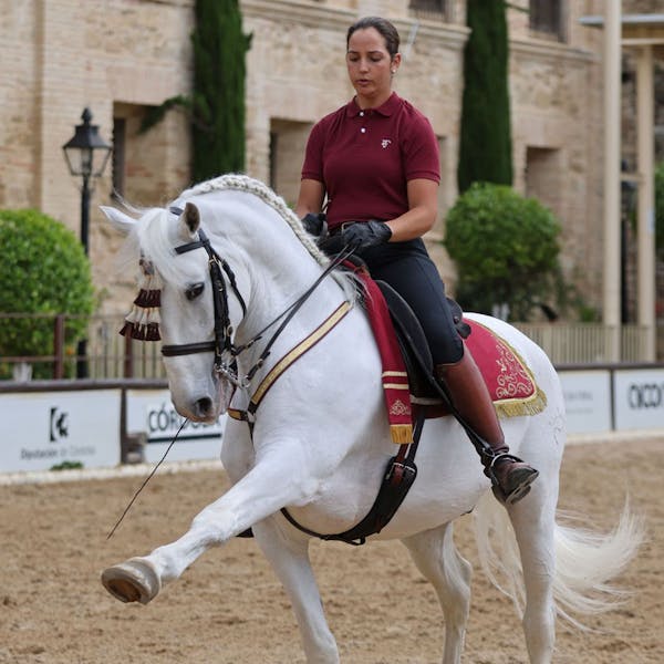 Cordoba Ecuestre Polo Básico